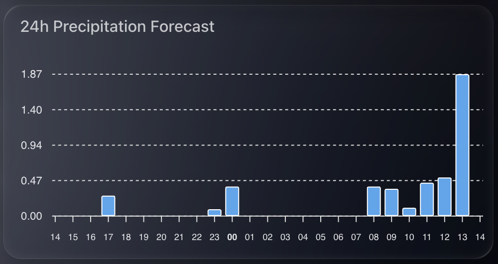 Chart showing hourly rainfall
